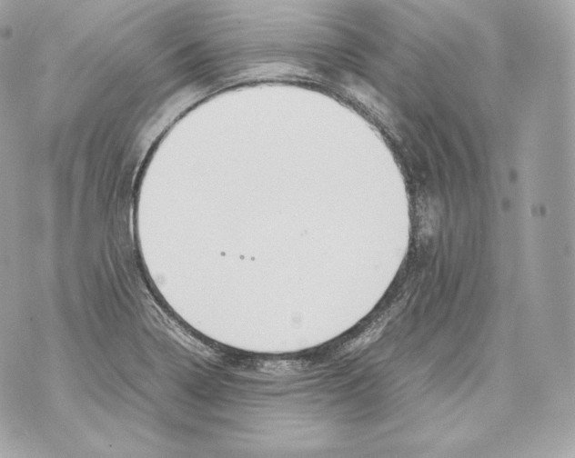 X0000070381322200607072144