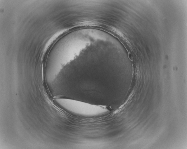 X0000070381323200607072144