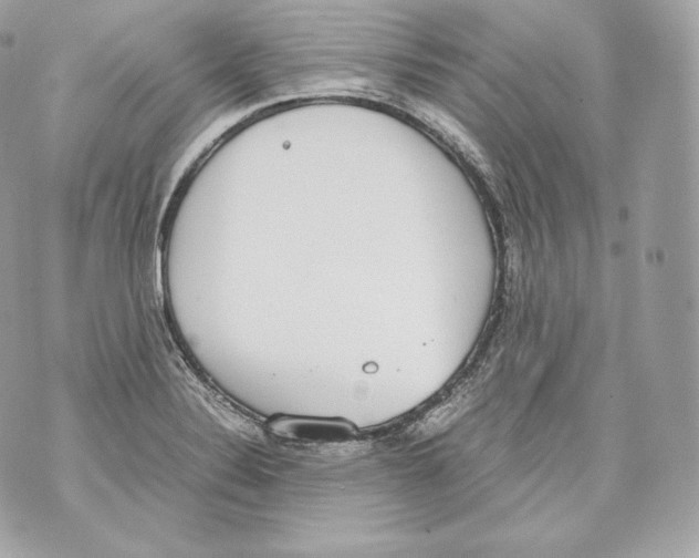 X0000070381324200607072144