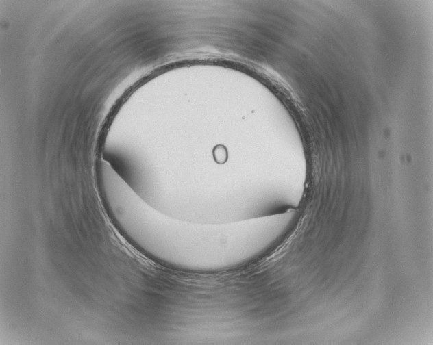 X0000070381326200607072144