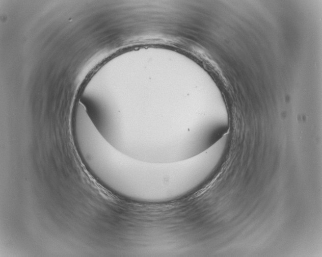 X0000070381328200607072144