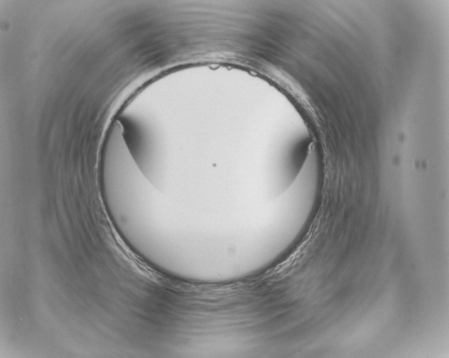 X0000070381332200607072144