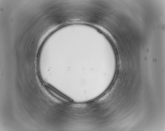 X0000070381333200607072144