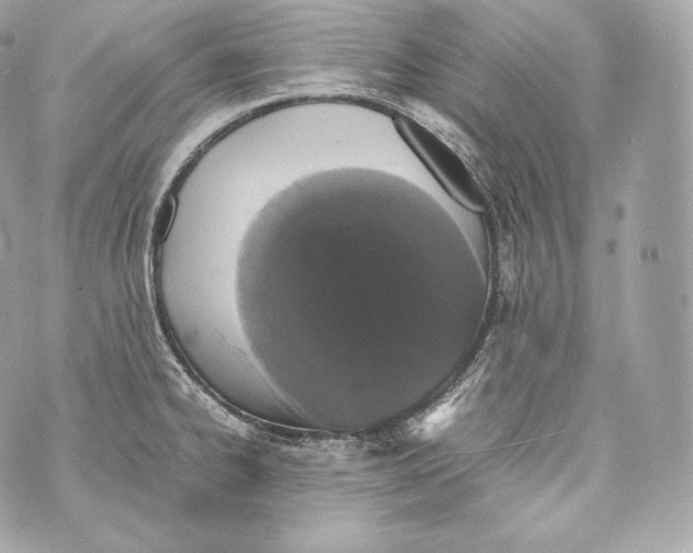 X0000070381334200607072144