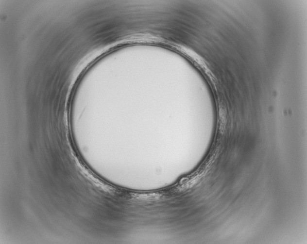 X0000070381335200607072144