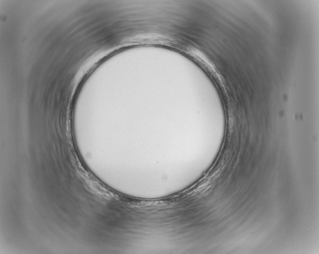 X0000070381336200607072144