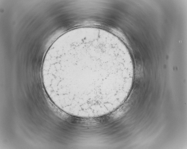 X0000070381338200607072144