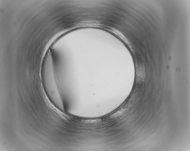 X0000070381339200607072144