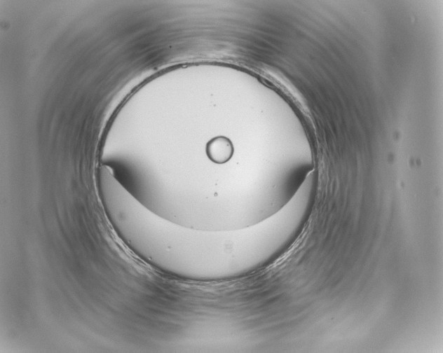 X0000070381340200607072144