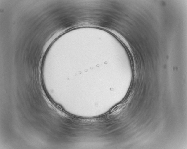 X0000070381341200607072144