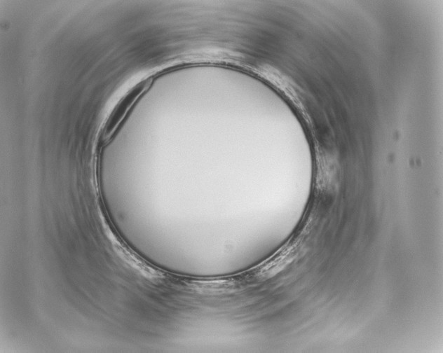 X0000070381342200607072144