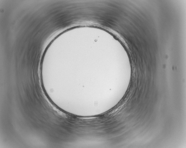 X0000070381343200607072144