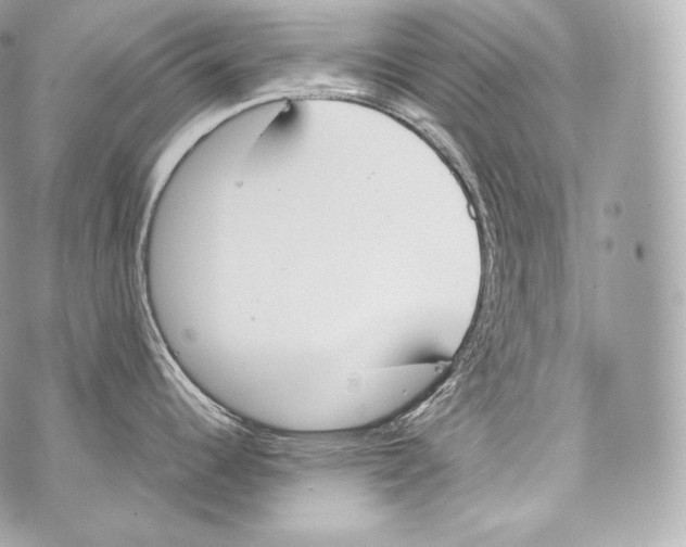 X0000070381344200607072144