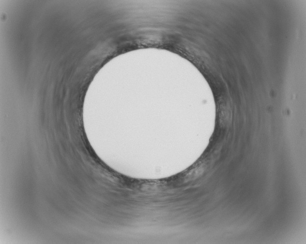 X0000070381345200607072144