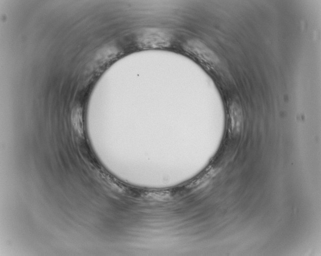 X0000070381346200607072144