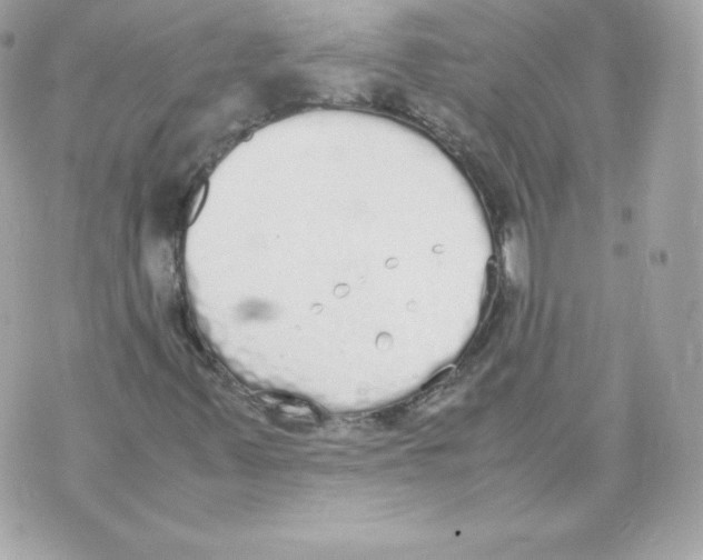 X0000070381347200607072144