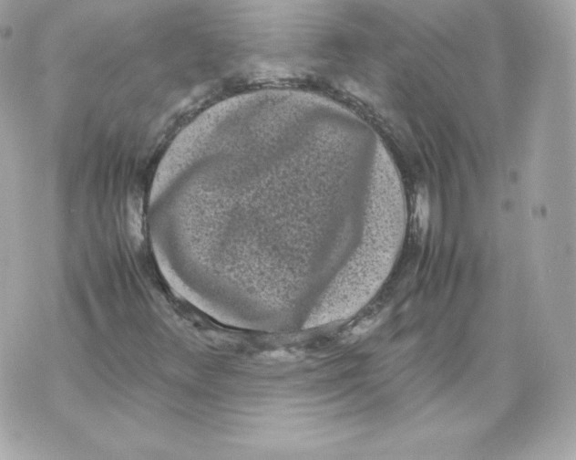 X0000070381348200607072144