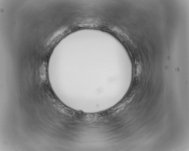 X0000070381350200607072144