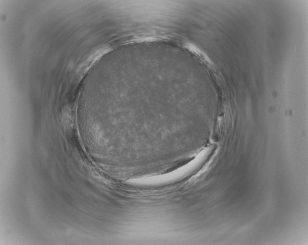 X0000070381353200607072143