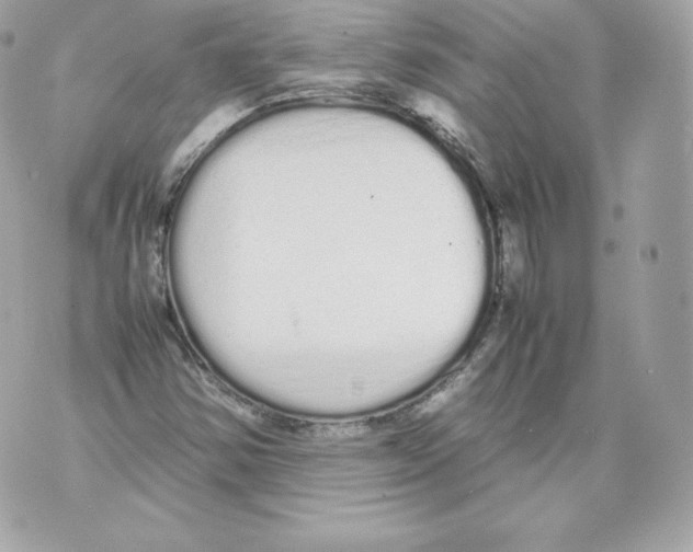 X0000070381354200607072143