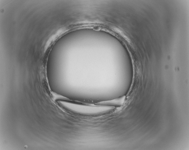 X0000070381357200607072143