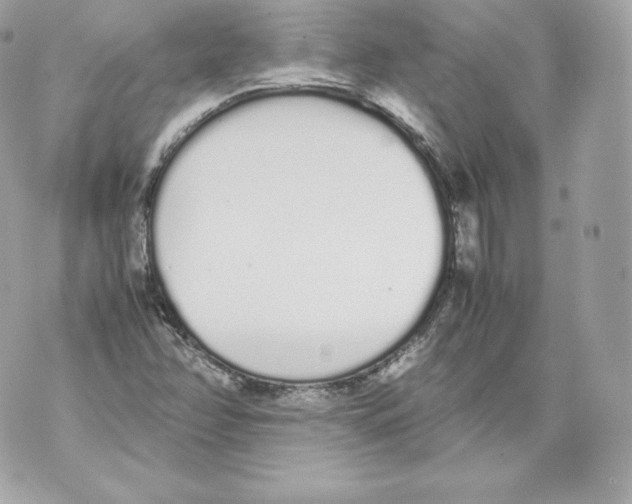 X0000070381358200607072143