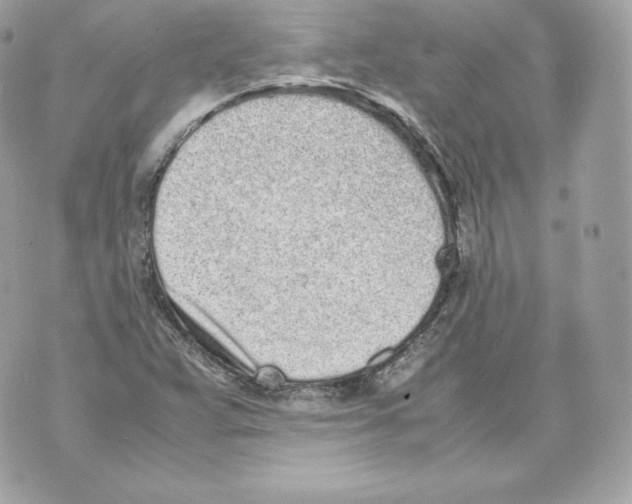 X0000070381359200607072143