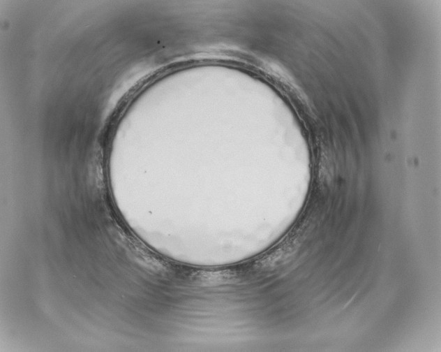 X0000070381360200607072143