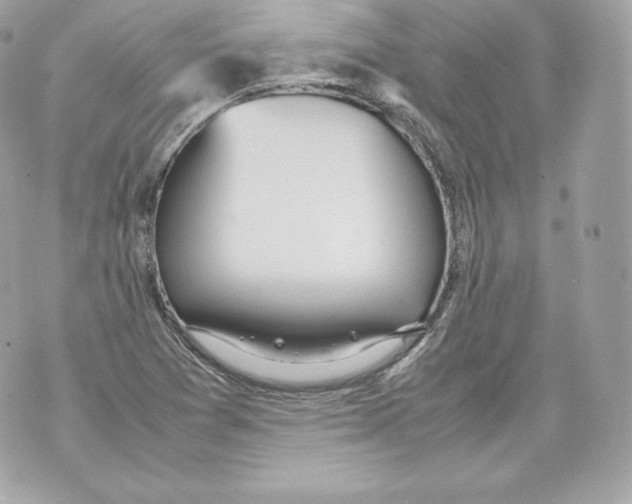 X0000070381361200607072143