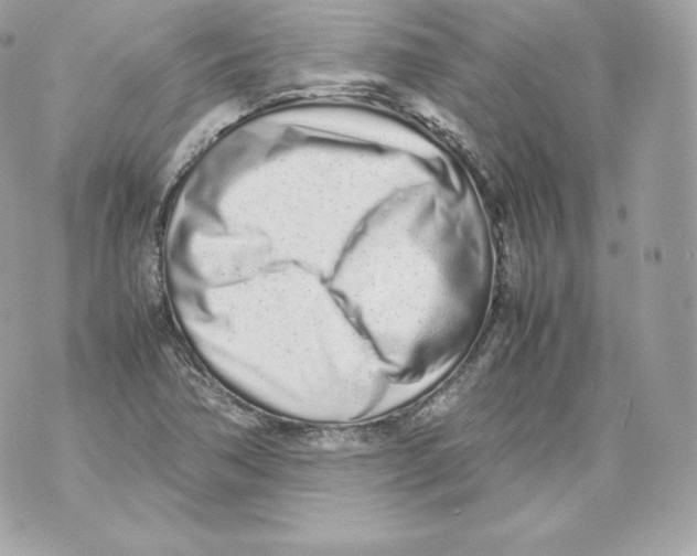 X0000070381362200607072143