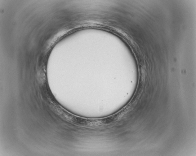 X0000070381363200607072143