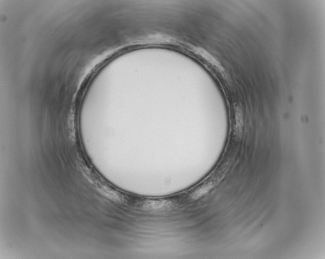 X0000070381364200607072143