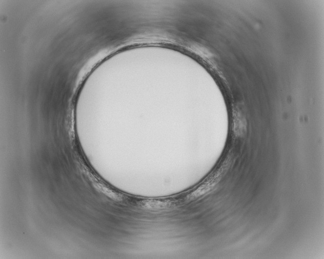 X0000070381366200607072143