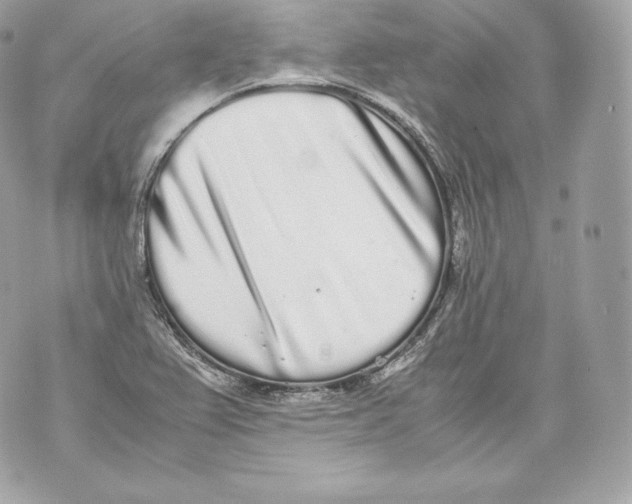 X0000070381367200607072143