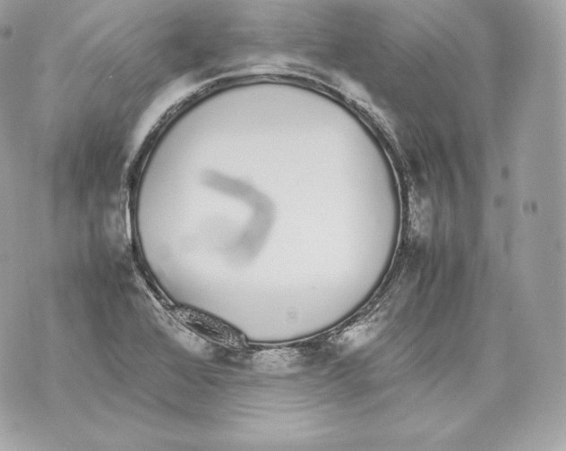 X0000070381368200607072143