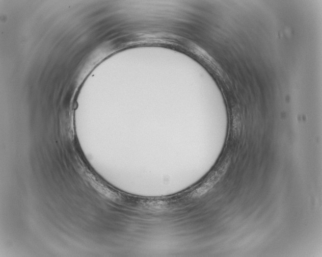 X0000070381370200607072143