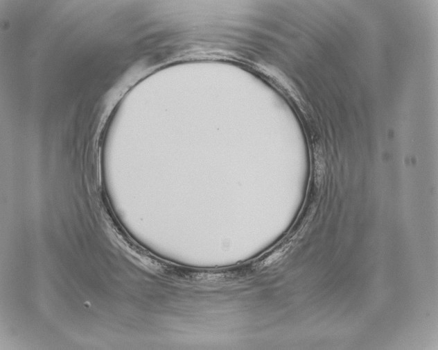 X0000070381371200607072143