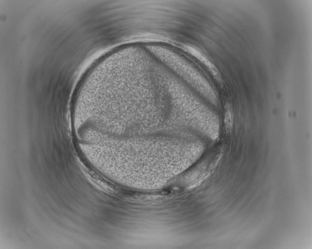 X0000070381372200607072143