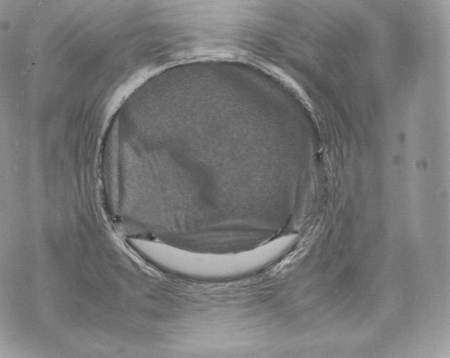 X0000070381373200607072143