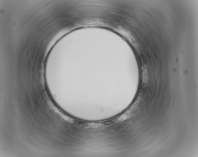 X0000070381374200607072143