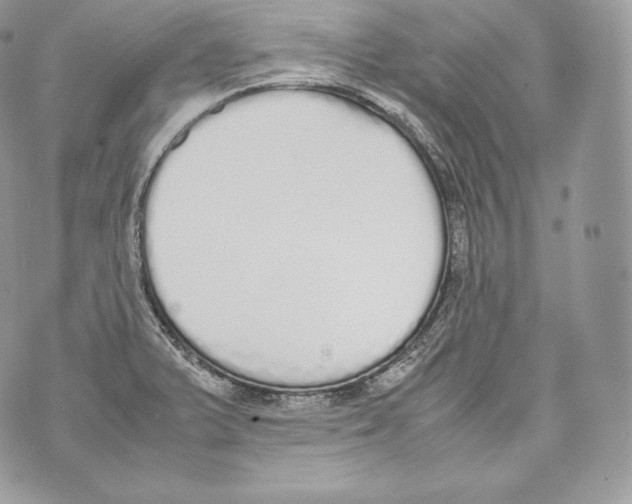 X0000070381375200607072143