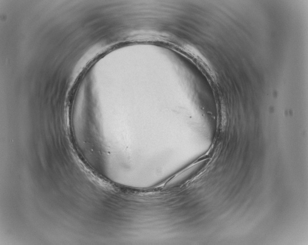 X0000070381376200607072143