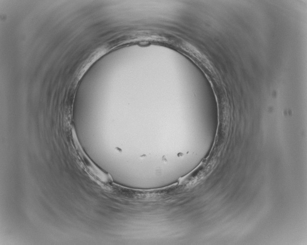 X0000070381377200607072143