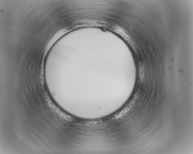 X0000070381378200607072143