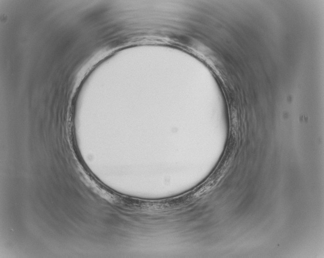 X0000070381379200607072143