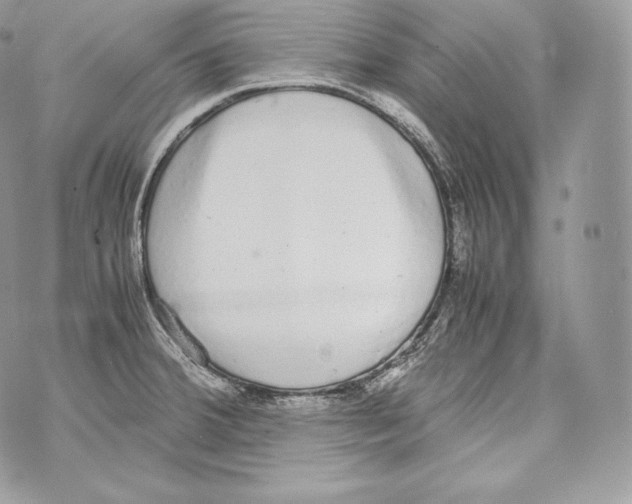 X0000070381380200607072143