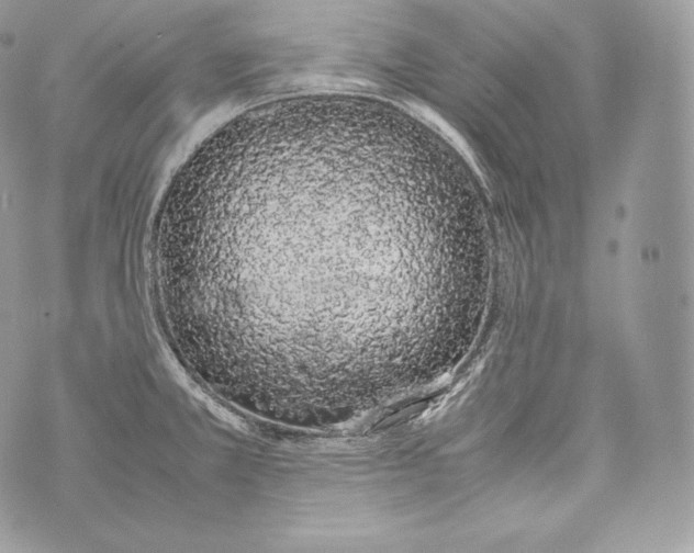 X0000070381381200607072143