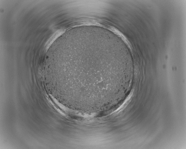 X0000070381385200607072143