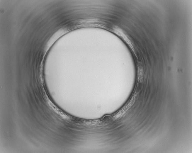 X0000070381386200607072143