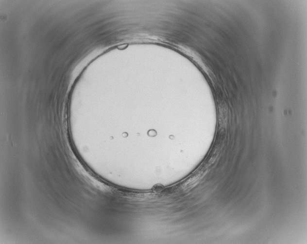 X0000070381387200607072143